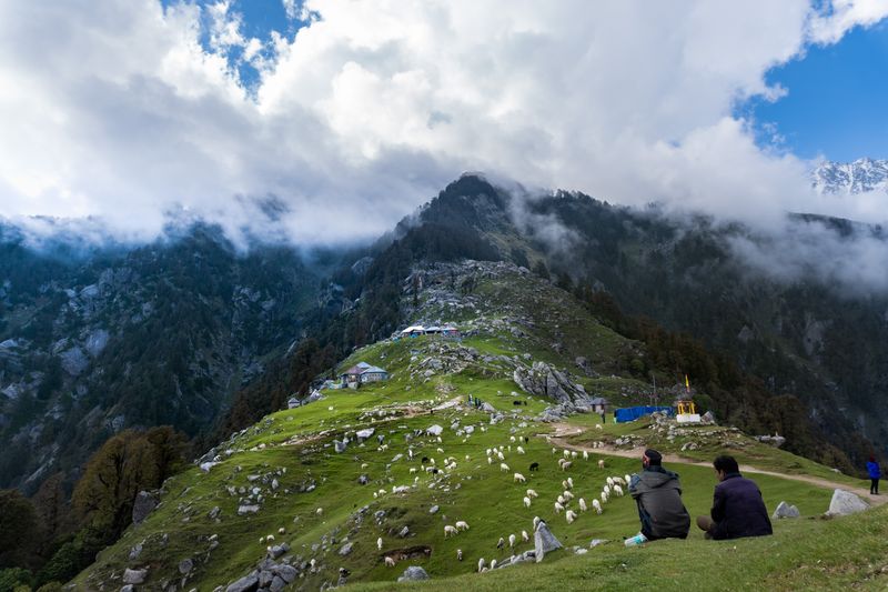 Dharamshala mountain pasture