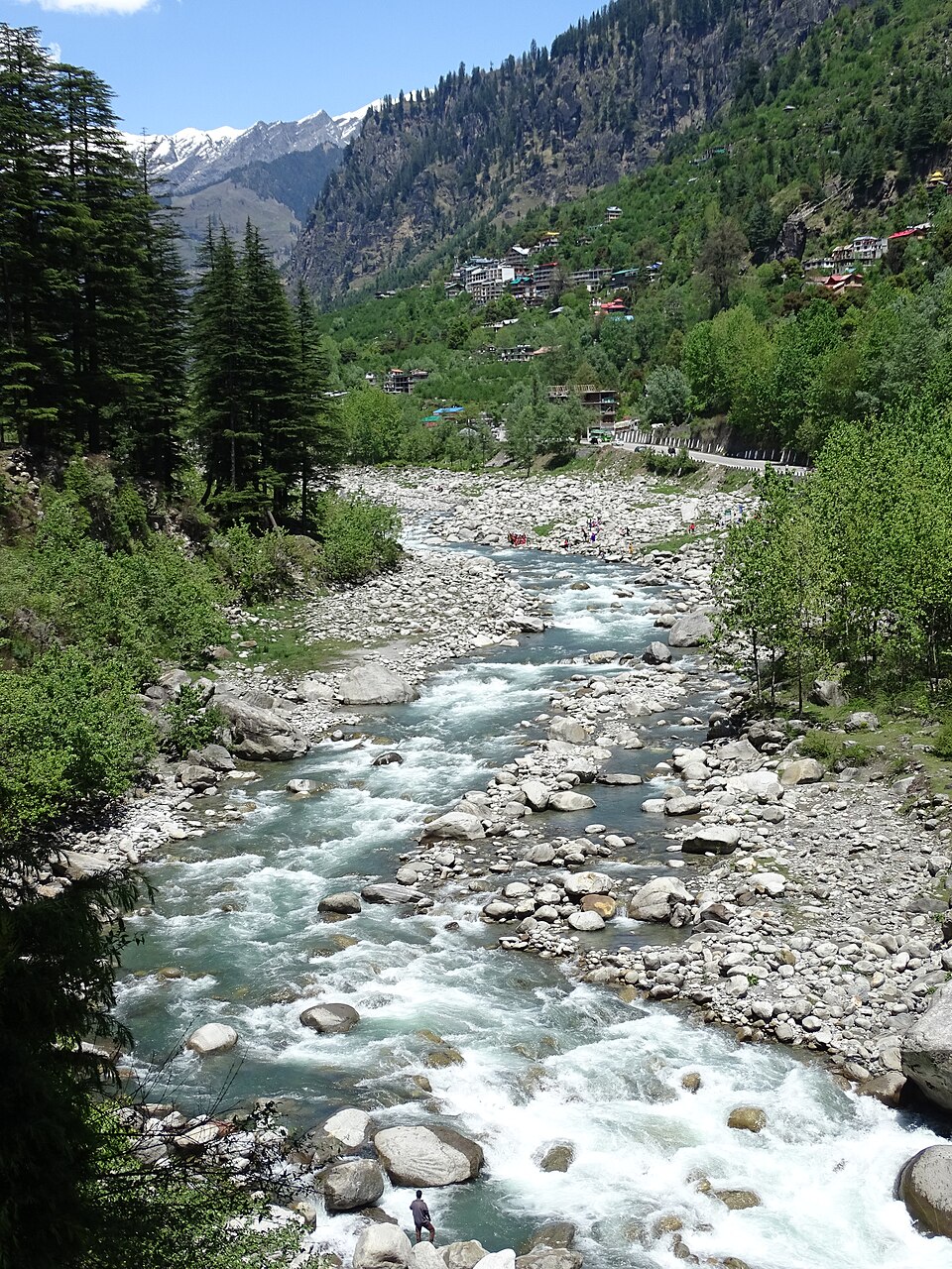 Green Manali valley view in summer with snow-capped peaks in the distance