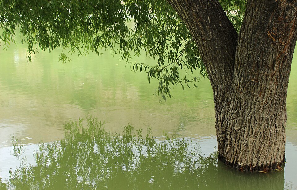 Nako Lake, Himachal Pradesh